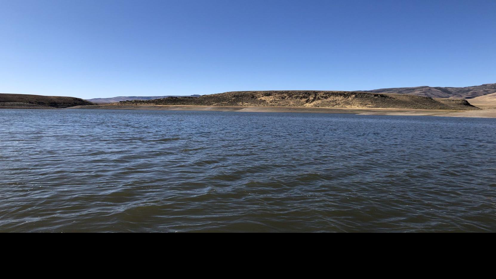 Salmon Falls Creek Reservoir Fishing Report 2019 Unique Fish Photo