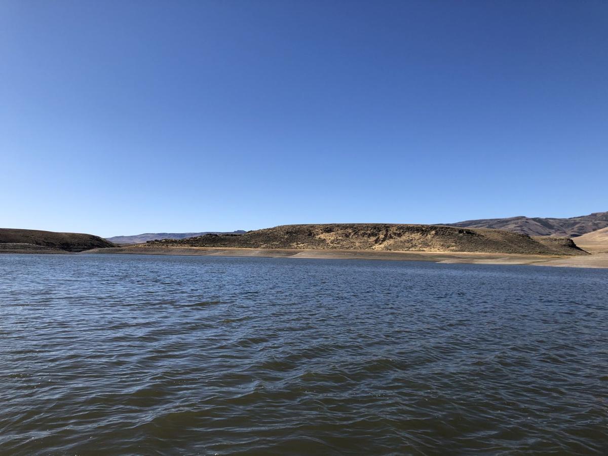 Salmon Falls 1
