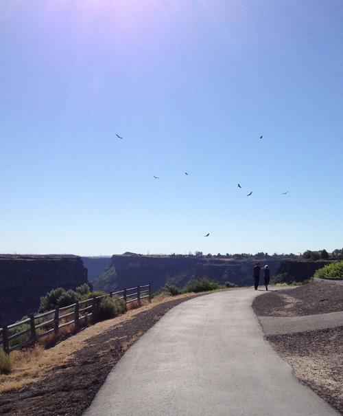 Urban Trail: Views of Pillar Falls