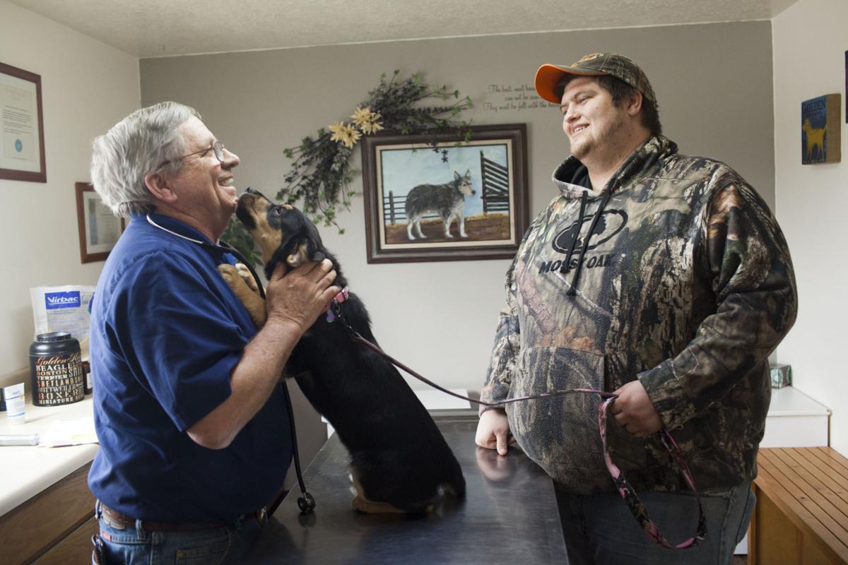 Best Veterinarian Ark Animal Hospital Local Magicvalley Com