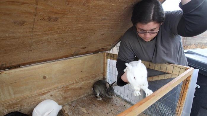 area urban homesteaders grow their own rabbit meat food food letters