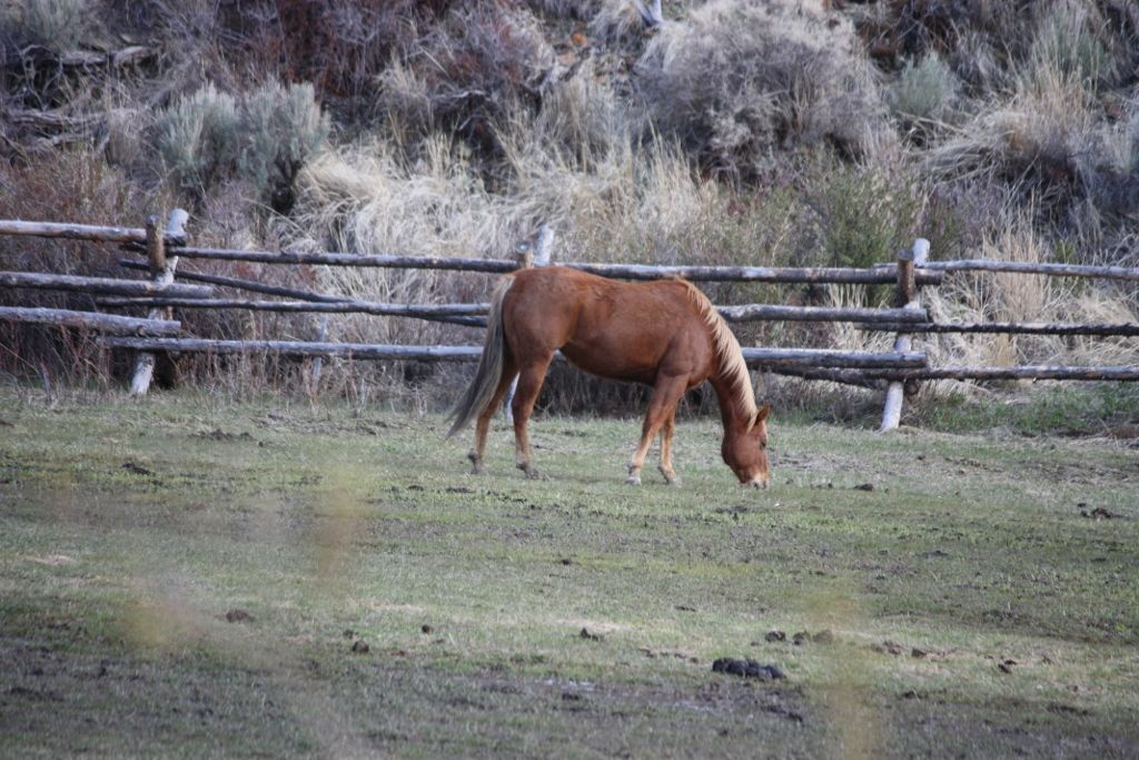 Gallery Readers' Photos of Idaho Farm Life Southern Idaho Local News