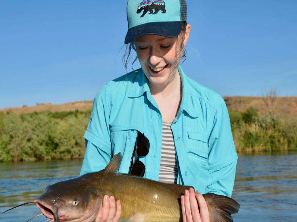 Big Fish Big Fun Catfish Are The Snake River S Overlooked Bounty Outdoors And Recreation Magicvalley Com