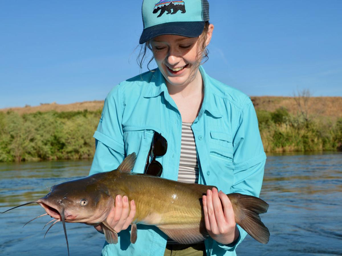 Big Fish Big Fun Catfish Are The Snake River S Overlooked Bounty Outdoors And Recreation Magicvalley Com