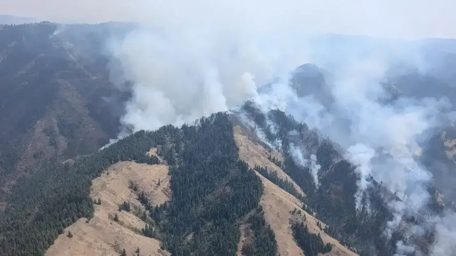 U of I online tool protecting communities’ drinking water from wildfires