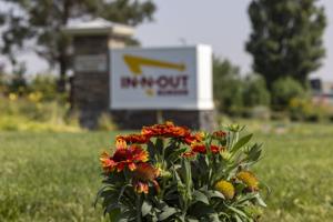 Online resources available to support victims of Twin Falls shooting