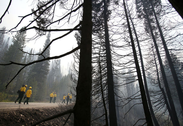 Beaver Creek Fire