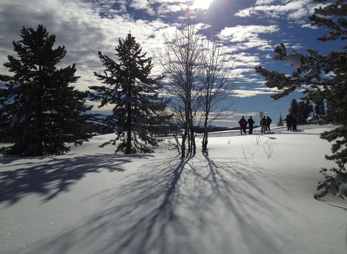 Gallery The Magnificent Elk Basin Trail