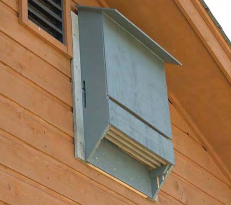 Building a Bat House
