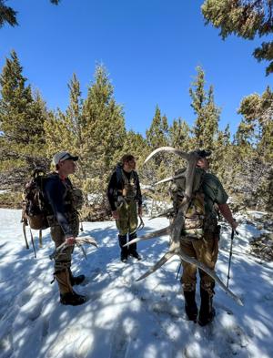 Shed Hunt Responsibly: Just because snow has melted doesn’t mean winter is over for elk and deer