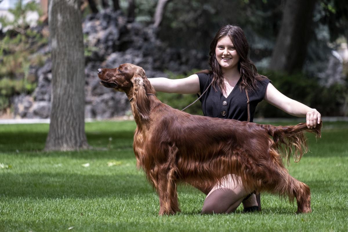 Best In Show Idaho Teen And Her Dog Qualifies For Westminster Kennel Club Dog Show Local Magicvalley Com