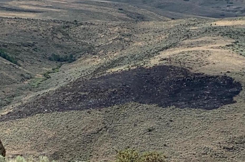 UPDATE Willow Fire expected to be contained Wednesday night