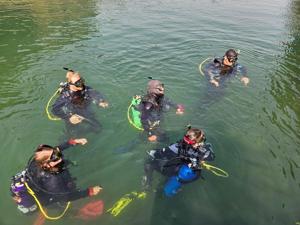 2026 quagga mussel hunt includes divers and new treatments