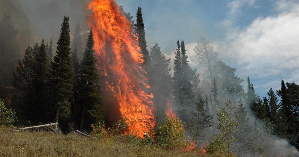 Hunters should be aware of upcoming prescribed fire in areas of Sawtooth National Forest in October