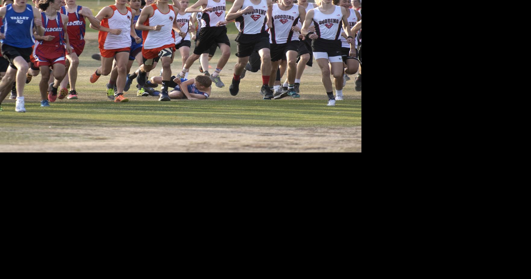 Local roundup State cross country results
