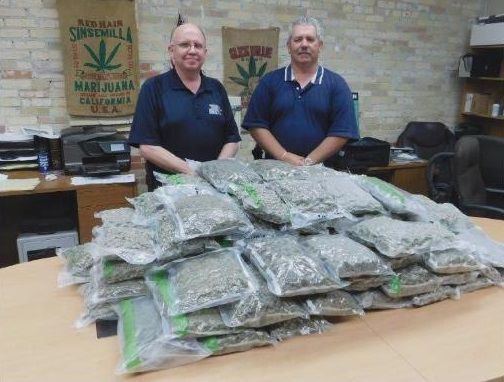 Pot bust