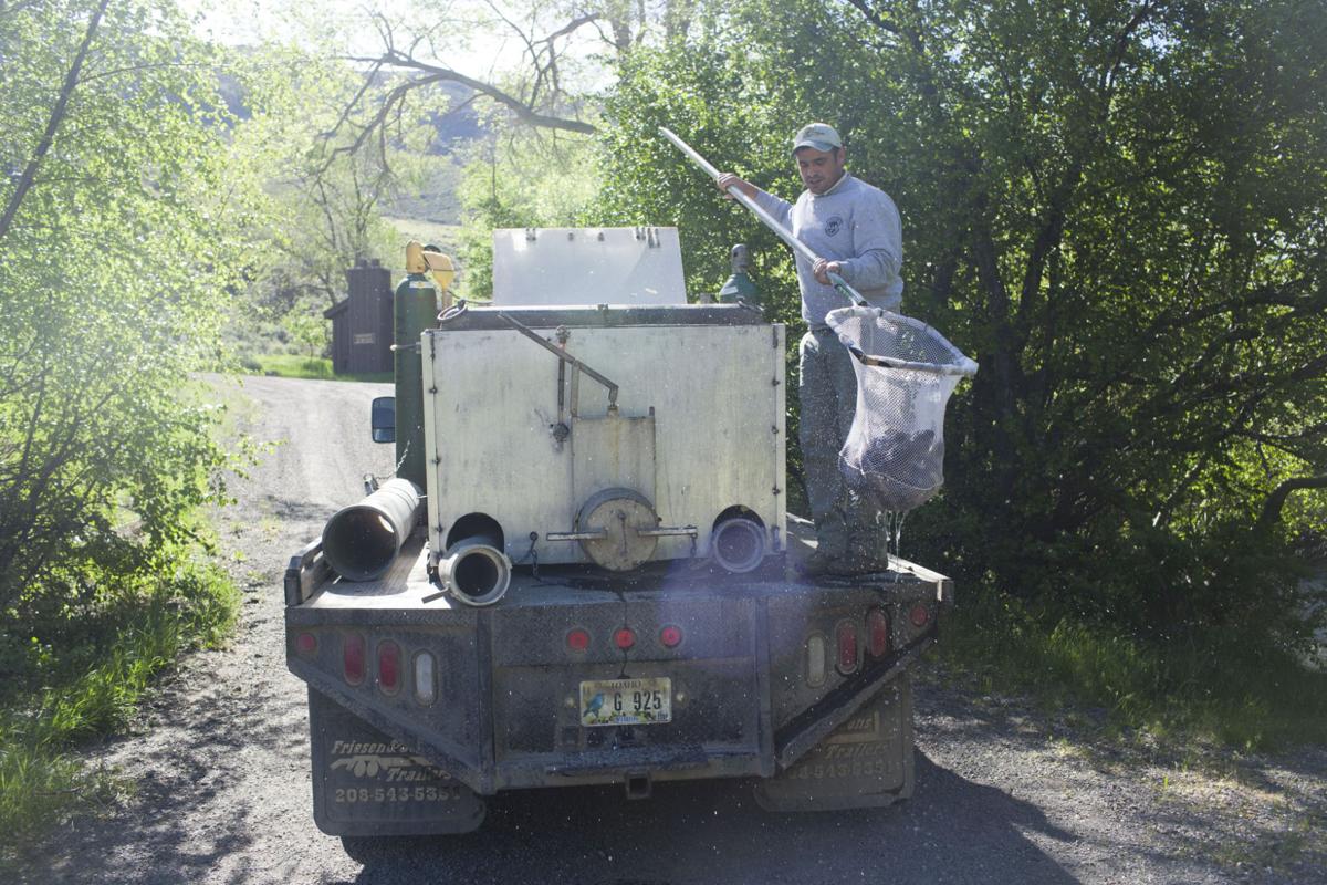 June Fish Stocking Schedule for Magic Valley Waters