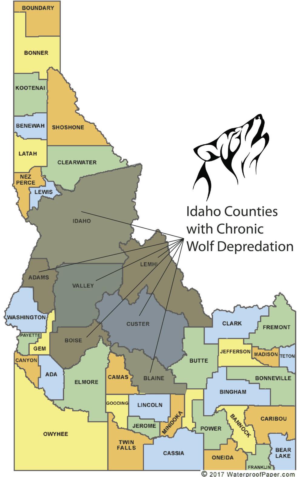 Life on the Range Unforeseen impacts caused by wolves in Idaho