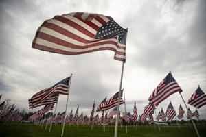 Flags fly at Founders Park