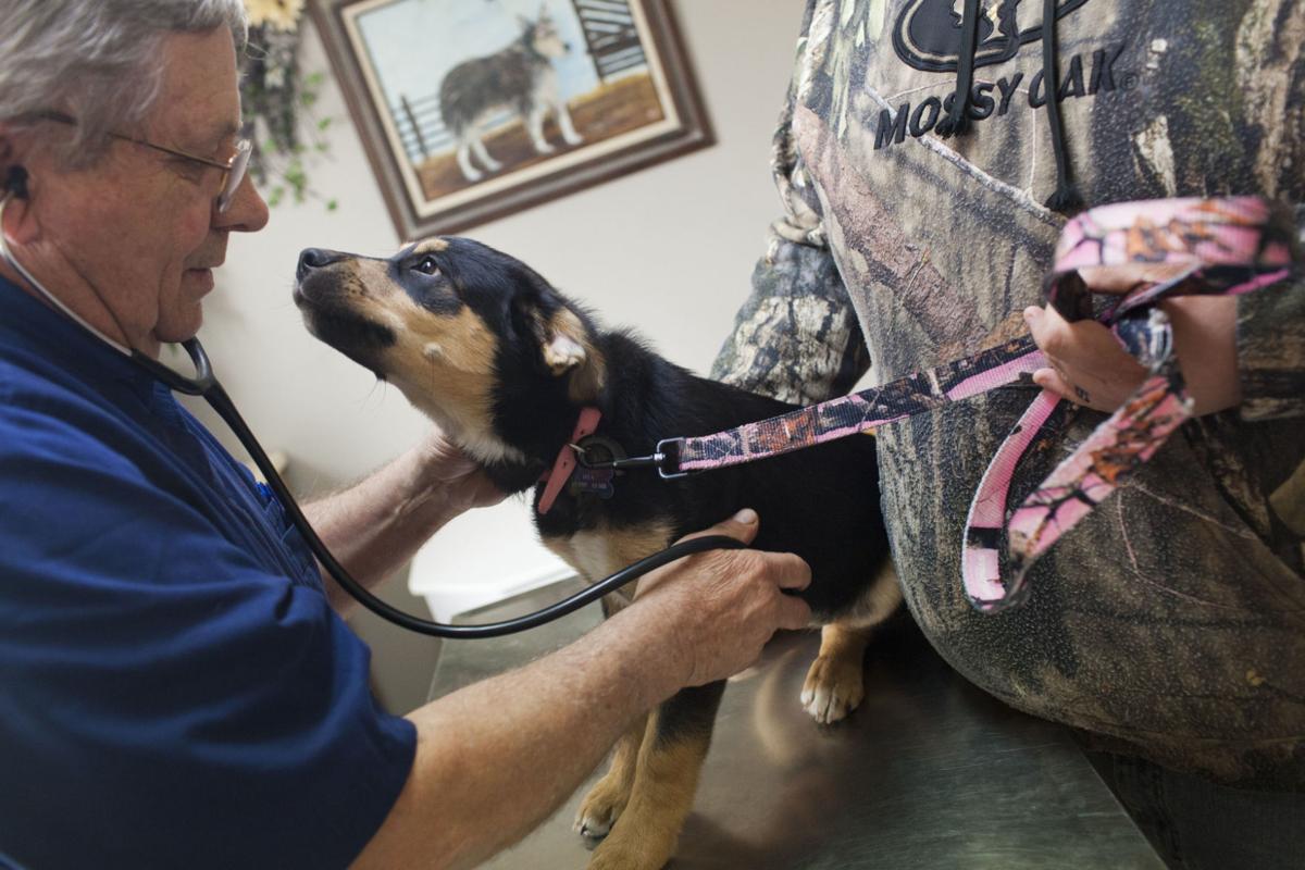 Best Veterinarian: Ark Animal Hospital | Southern Idaho Local News