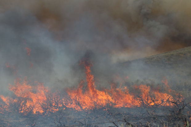 McCan Fire