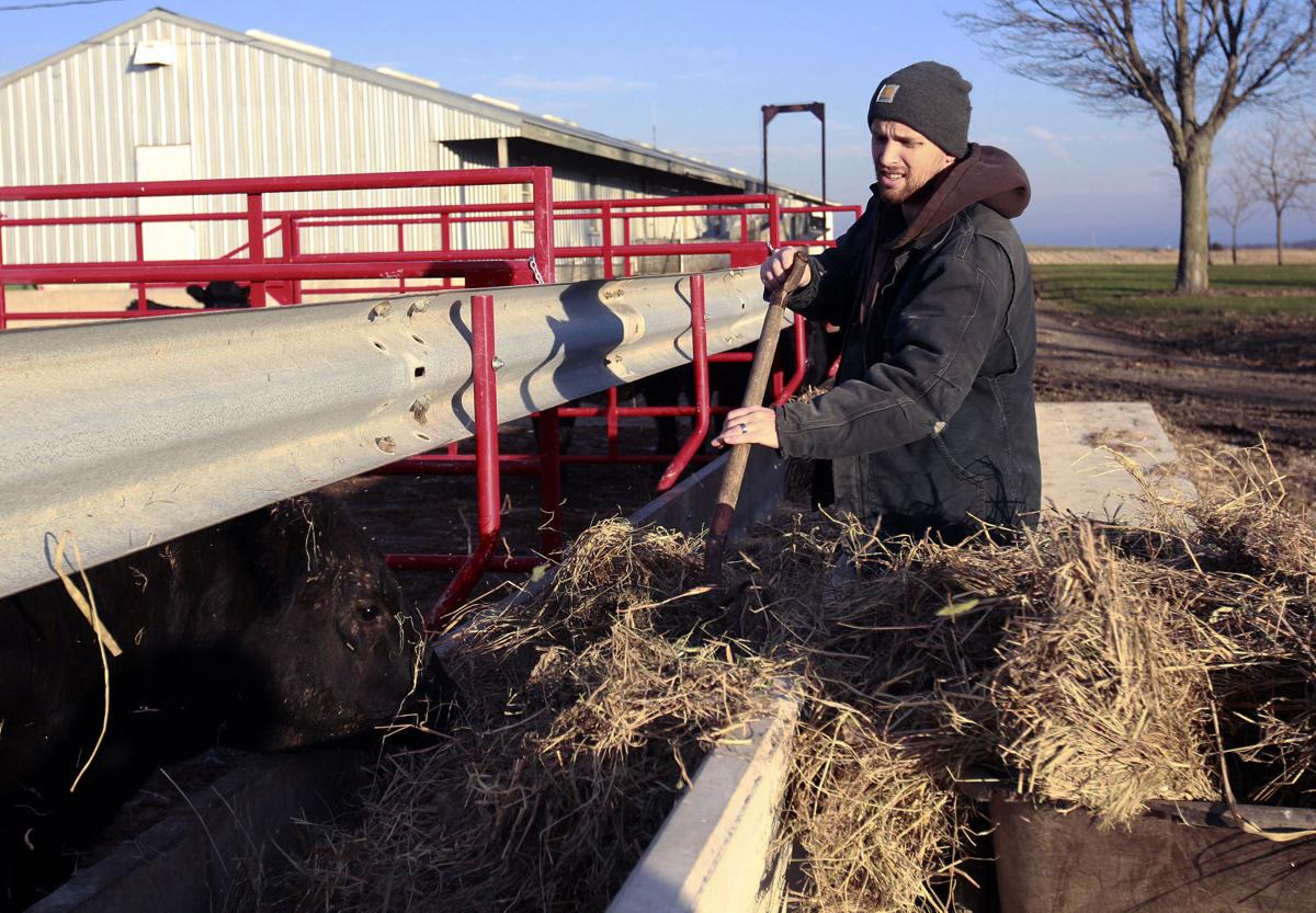 Iowa Farmer to Sell Beef Directly to Consumers Southern Idaho