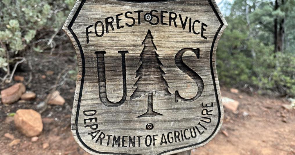 Conservation groups file lawsuit to stop logging, burning in Montana’s most popular national forest