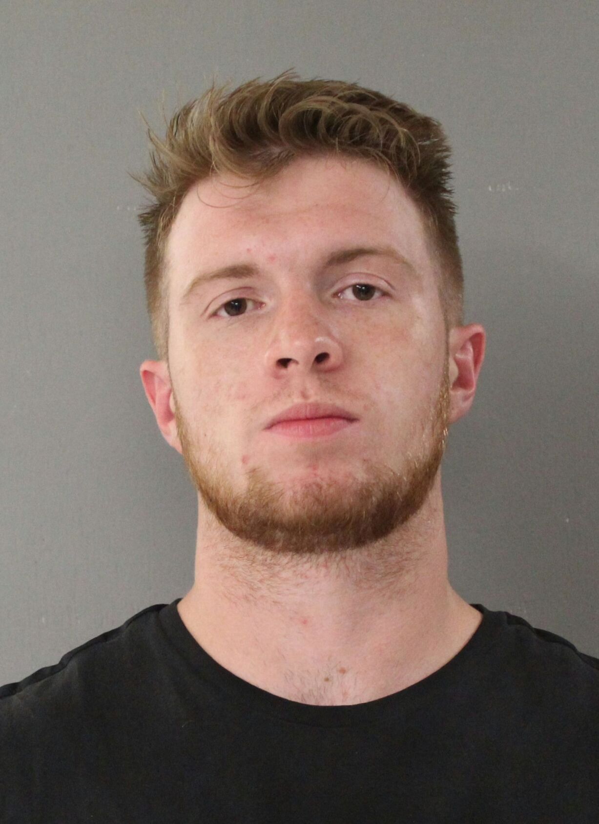 Man pleads guilty to video voyeurism in Twin Falls County case