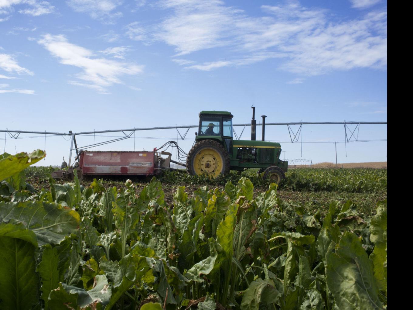 the life of a farmer magicvalley com