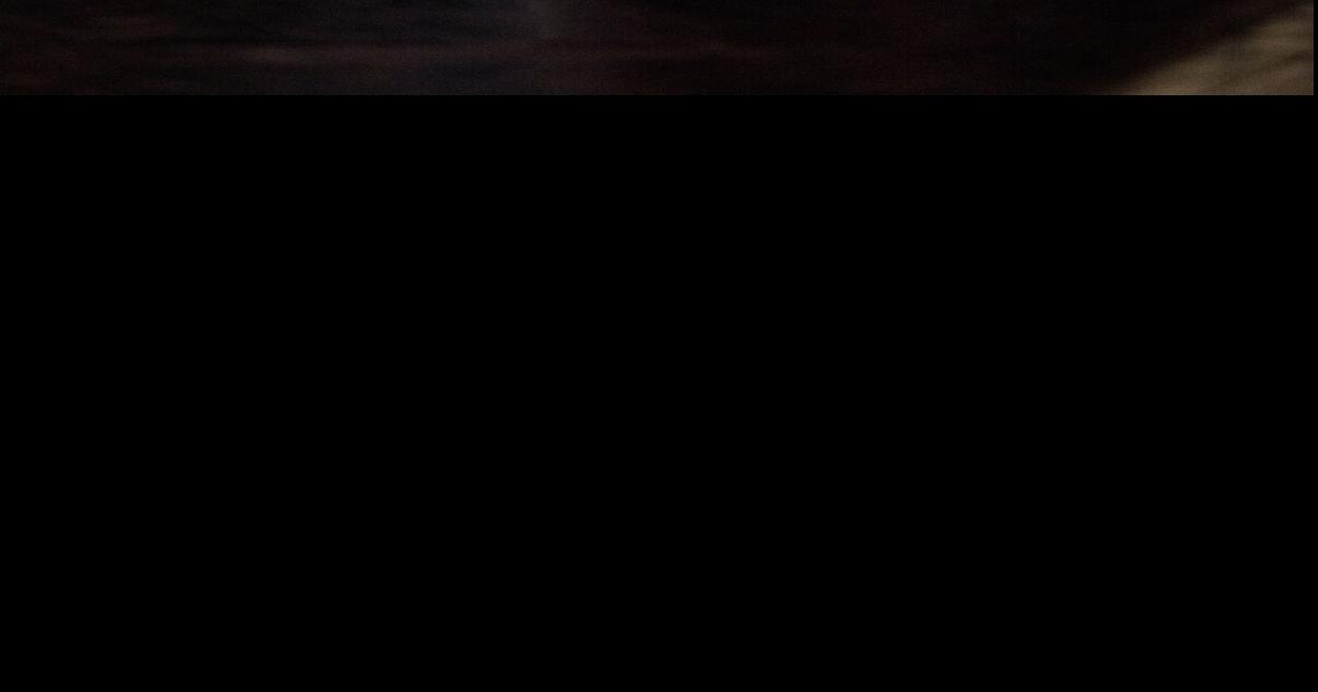 MiniCassia news briefs