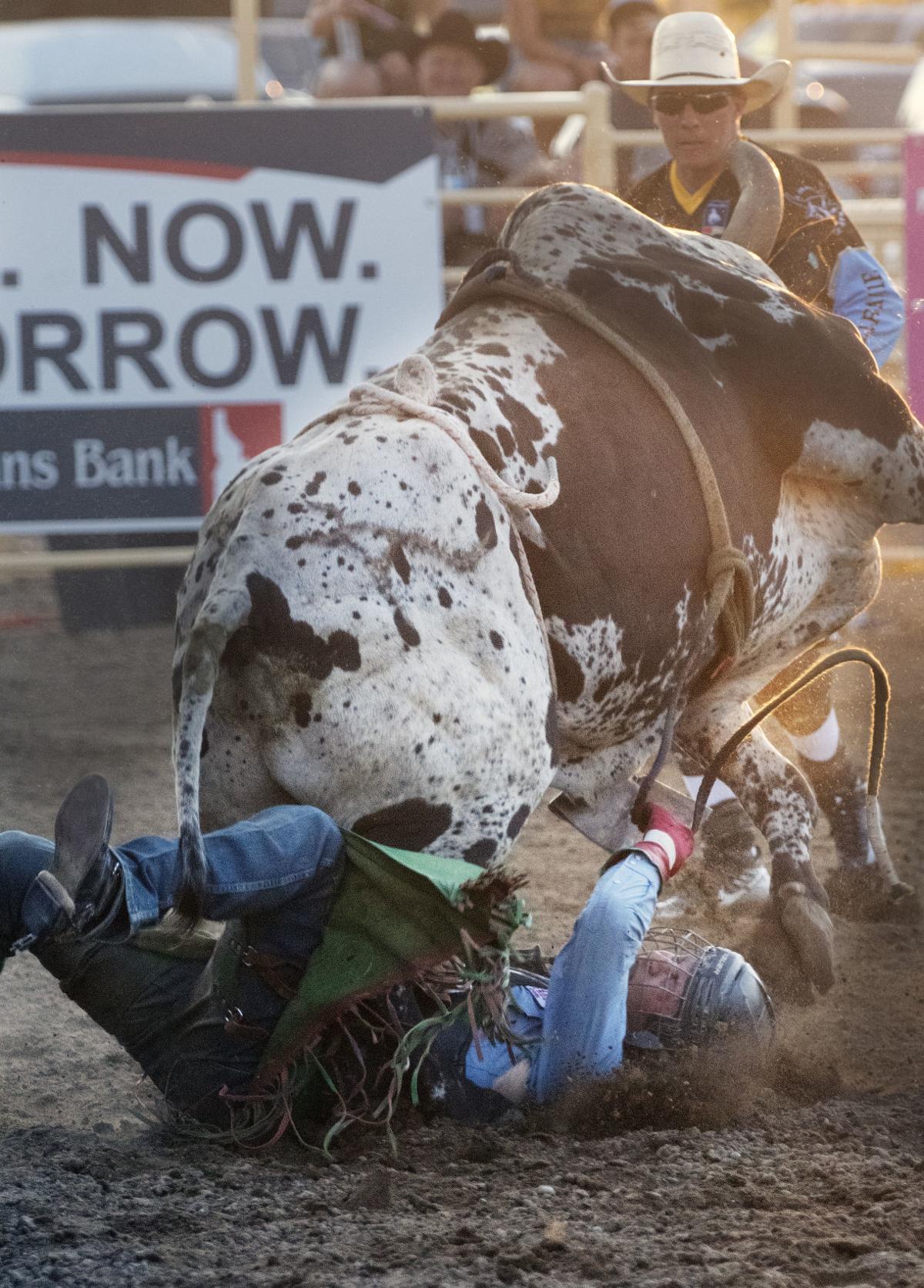 An Xtreme night at the Gooding Rodeo Local