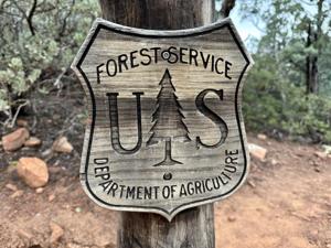 Conservation groups file lawsuit to stop logging, burning in Montana’s most popular national forest