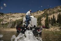 Stocking trout in Lake Cleveland