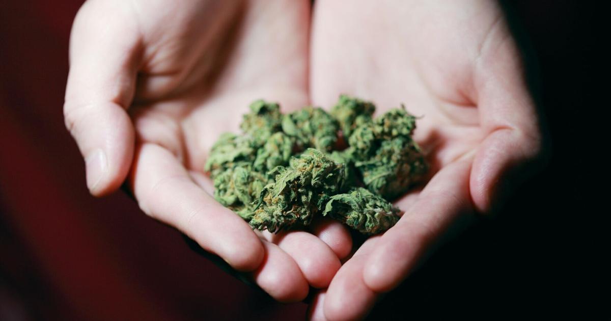 How to Choose the Right CBD Cream for Pain Relief and Discomfort Reduction