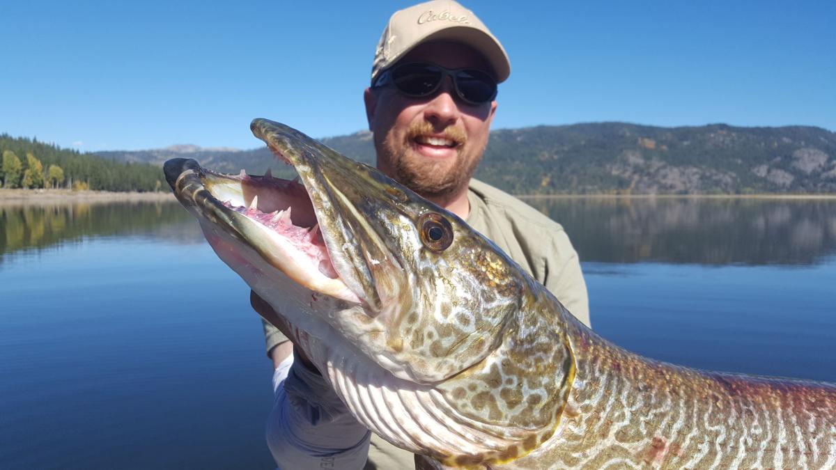 Fishing Column: Idaho River Monsters, Part III: Tiger Muskie