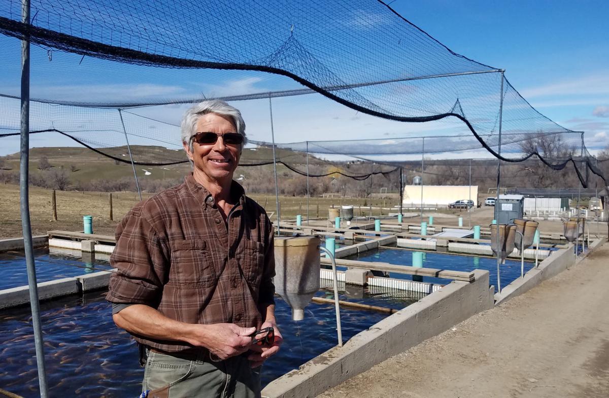 6 big changes in Idaho aquaculture Southern Idaho Agriculture News