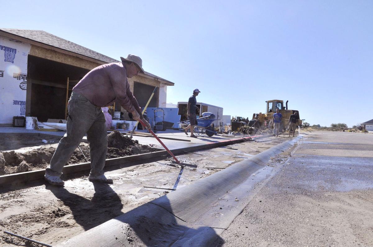 Looking ahead MiniCassia MiniCassia News