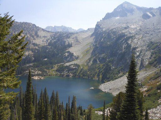 U.S. ends sheep grazing in parts of Idaho wilderness areas