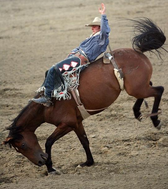Gallery Gooding Pro Rodeo
