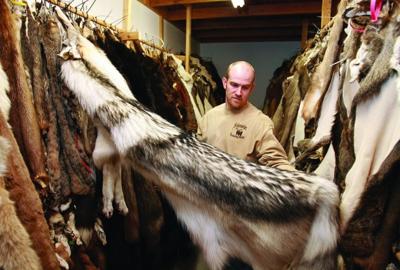 Wolves
