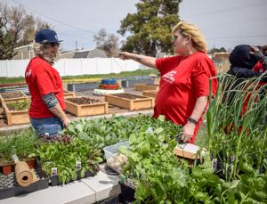 United Way of South Central Idaho to close doors, works toward transition