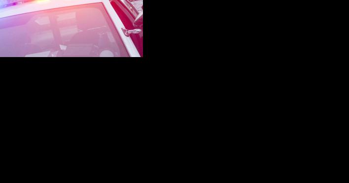 Man faces grand theft after allegedly breaking into Twin Falls business