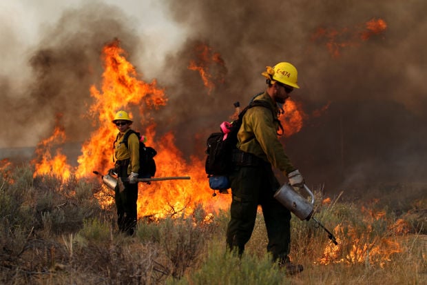 Fir Grove Fire