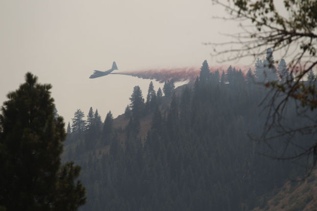 Elk Fire