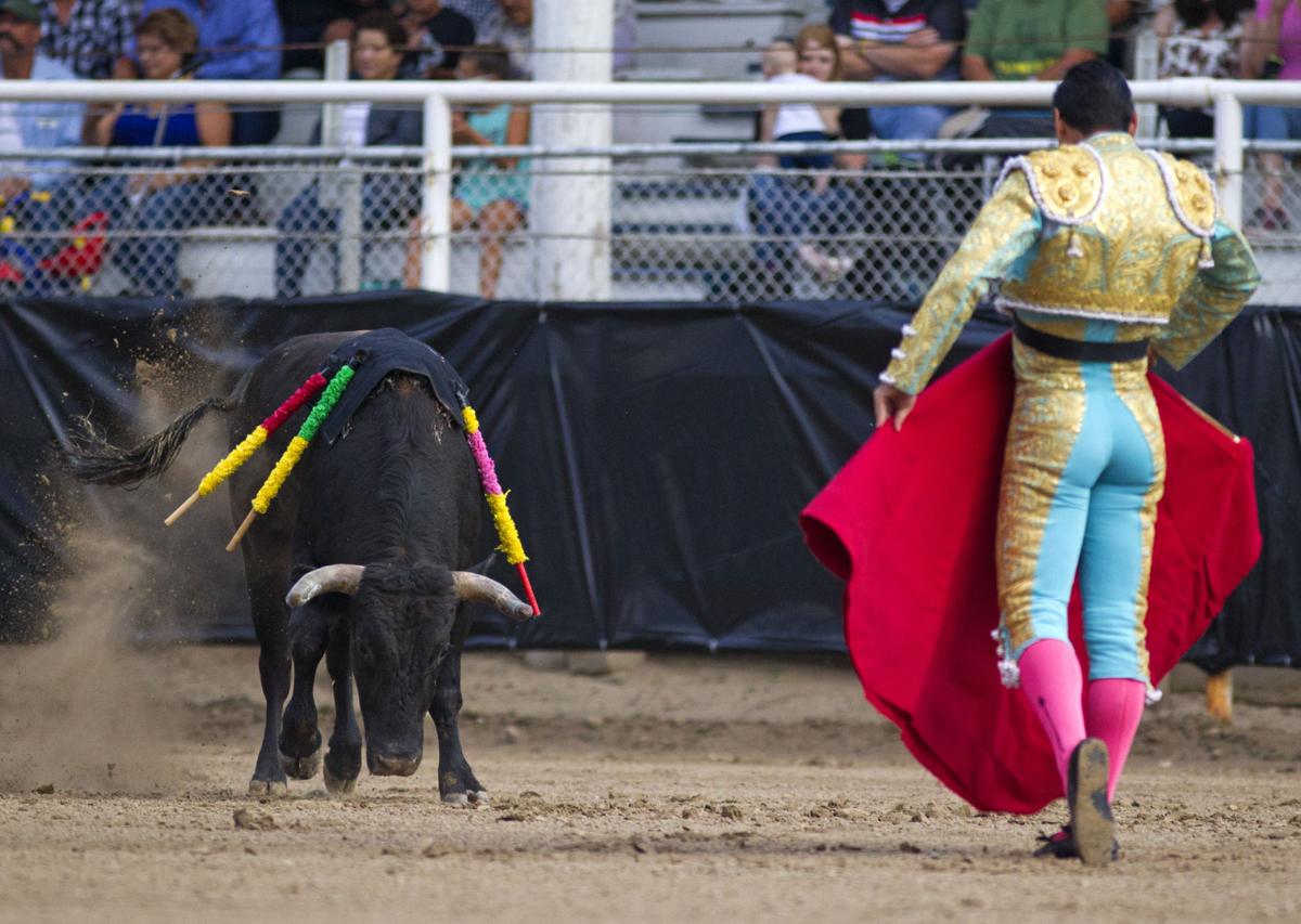 Photo Gallery Bloodless Bullfights brings crowds, courage and culture