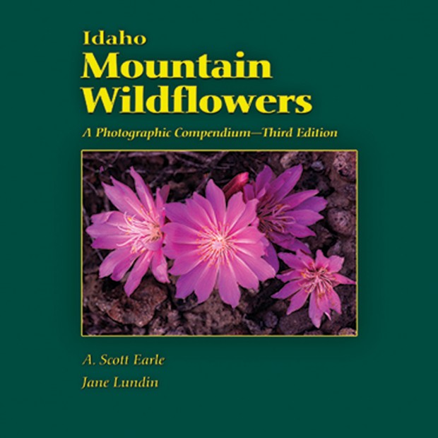 Idaho Wildflower Book Worth its Weight | Outdoors and Recreation ...