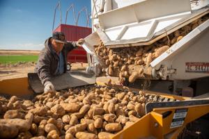 Idaho farmers are hoping Congress can get updated farm bill across finish line