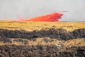 Summit Creek Fire have you worried? Here's what to do to prevent wildfires