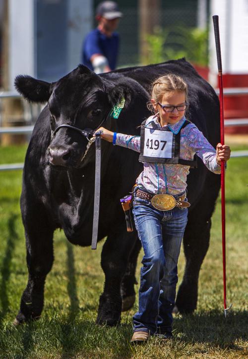 5 Life Lessons 4 H And Ffa Children Learn By Raising Animals