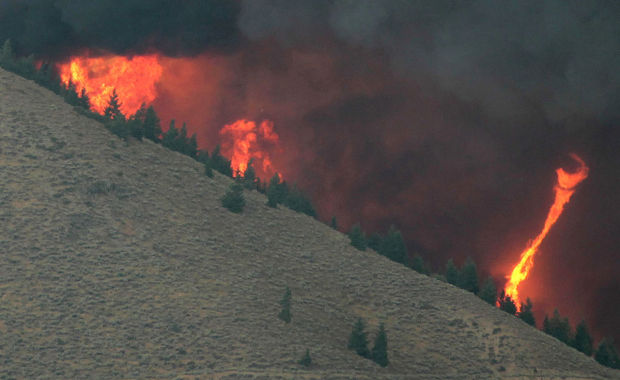 Beaver Creek Fire
